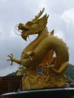 Dragon.JPG (50 KB)